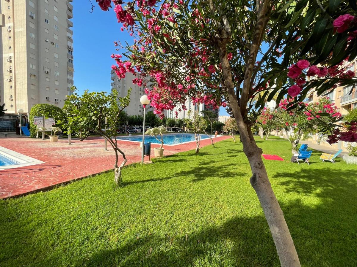Beach Studio Apartment Hannibal La Cala Finestrat Benidorm Luaran gambar